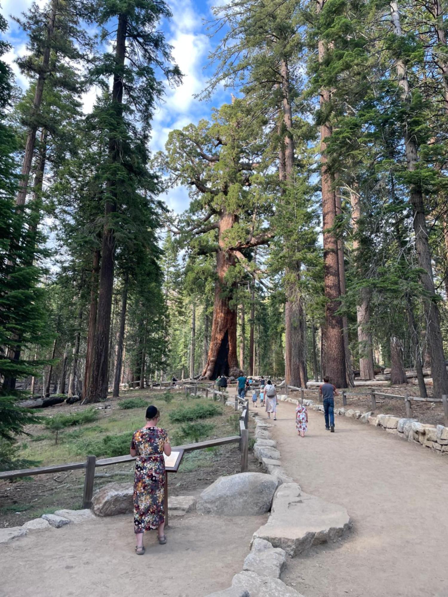 Stewart Chalet @ Yosemite/Bass Lake Esterno foto